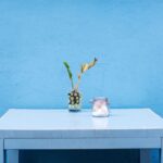 How to Care for Your Flowers and Keep Them Blooming Longer
